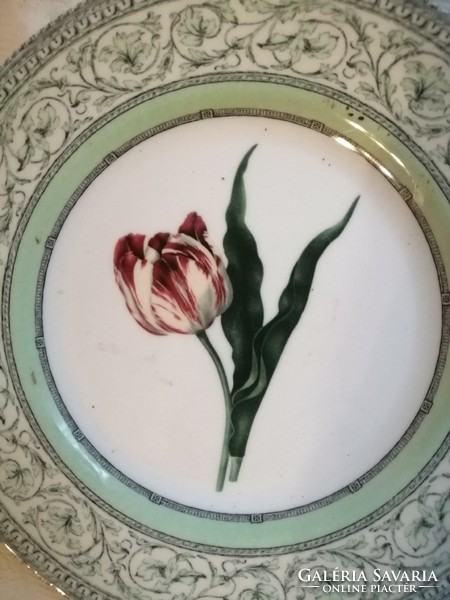 The tulip plate is beautiful