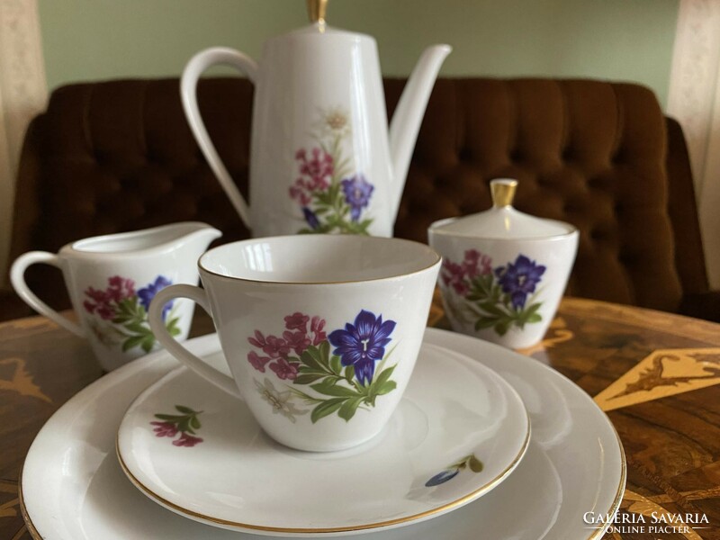 Beautiful seltmann weiden bavaria, retro flower pattern complete porcelain breakfast set