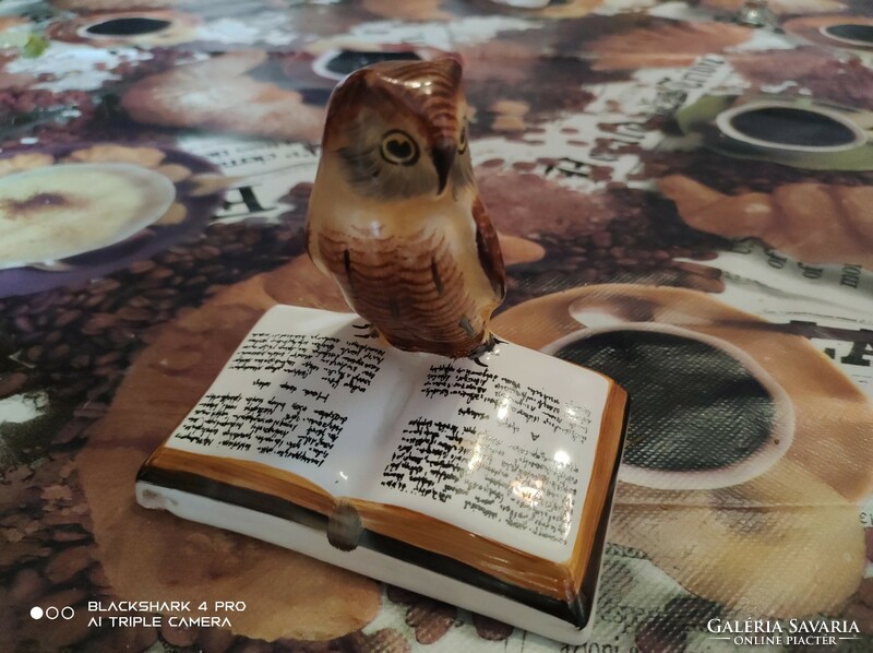 Ceramic wise owl