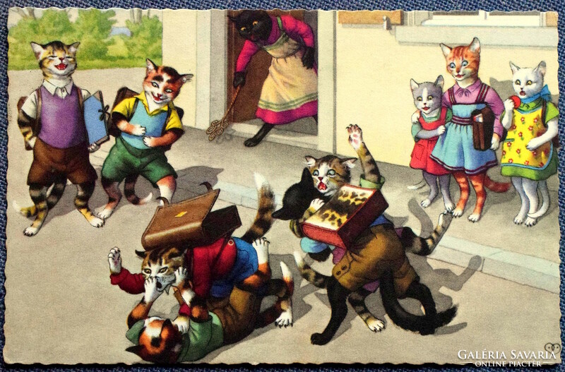 Régi retro humoros grafikus képeslap cica  verekedés az iskolánál