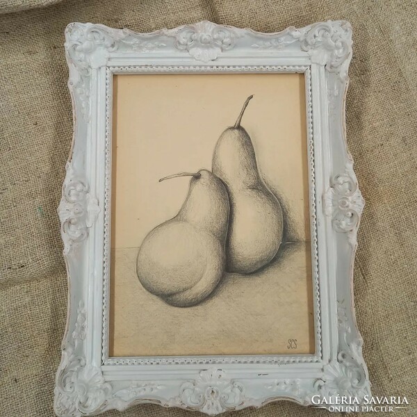 Vintage image of pear pencil drawing