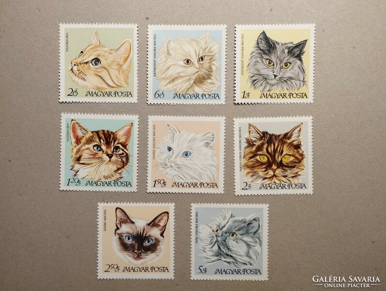Magyarország-Macskák 1968