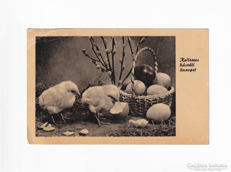 H:04 Húsvéti Üdvözlő képeslap