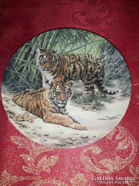 Angol fali  porcelán dísztányér tigris kölykökkel - Vitrin állapotban