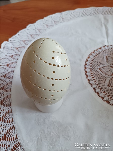 Engraved emu and nandu eggs