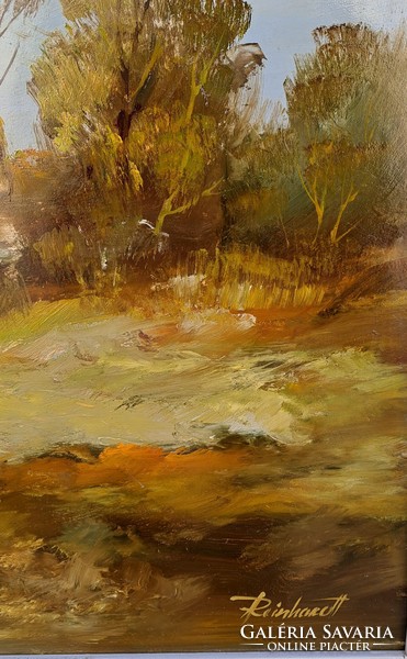 István Reinhardt (1936-): summer, with frame: 53x93 cm.!