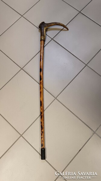 Retro hiking stick