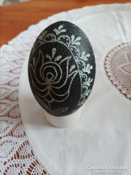 Engraved emu and nandu eggs