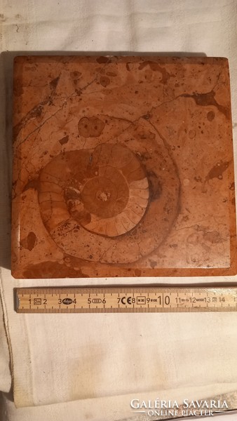 Ősi csiga fosszilia ( kövület) süttői márványban,  levélnehezék