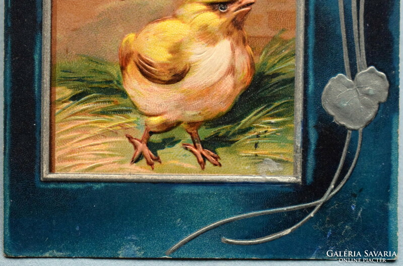 Antik szecessziós  dombornyomott Húsvéti üdvözlő képeslap   csibék