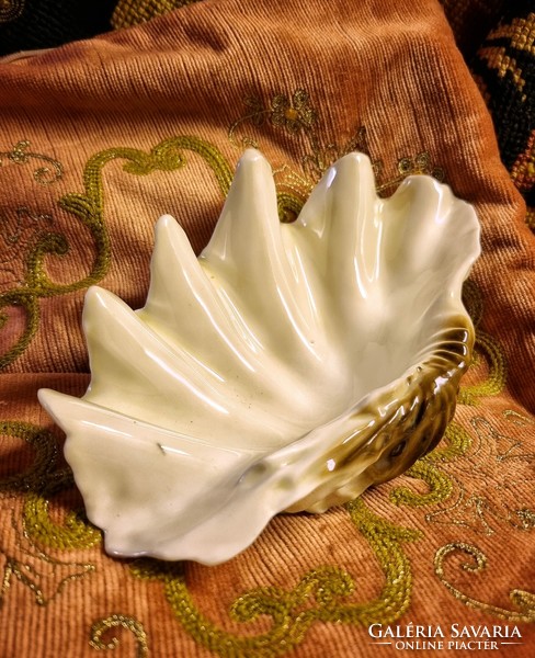 Nagy méretű Hollóházi porcelán kagyló, jelzett