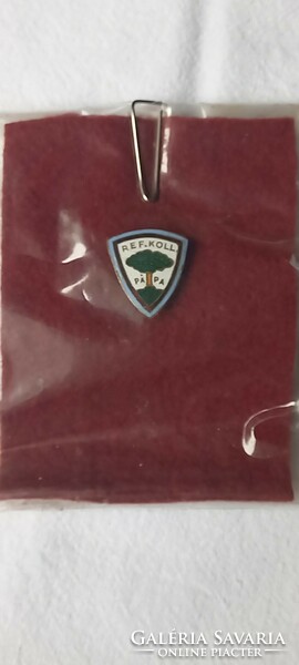 Reformed college papal badge/ badge
