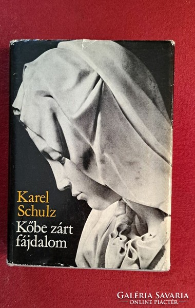 Karel Schulz - pain locked in stone - biography of Michelangelo Buonarroti