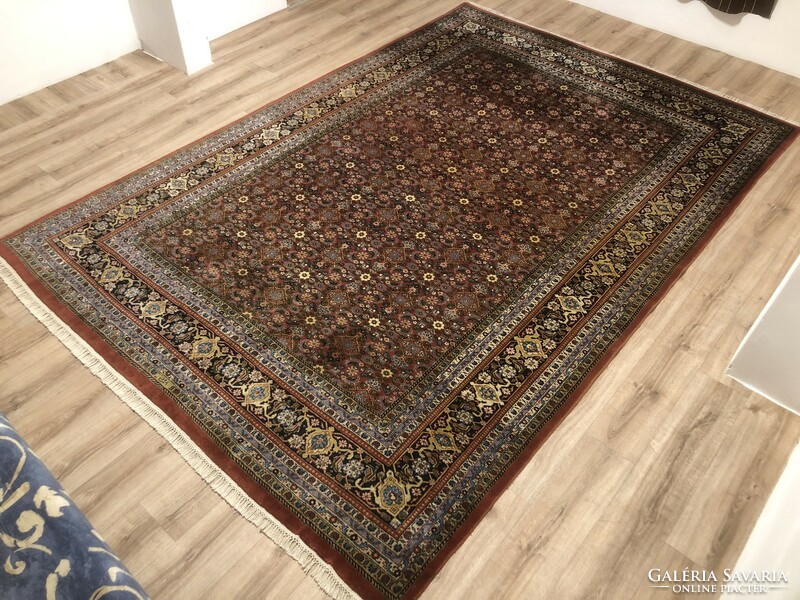 Indo herati - Indian hand-knotted wool Persian rug, 248 x 380 cm