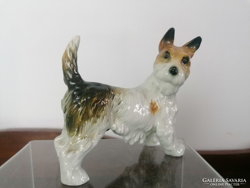 Terrier dog, ens porcelain