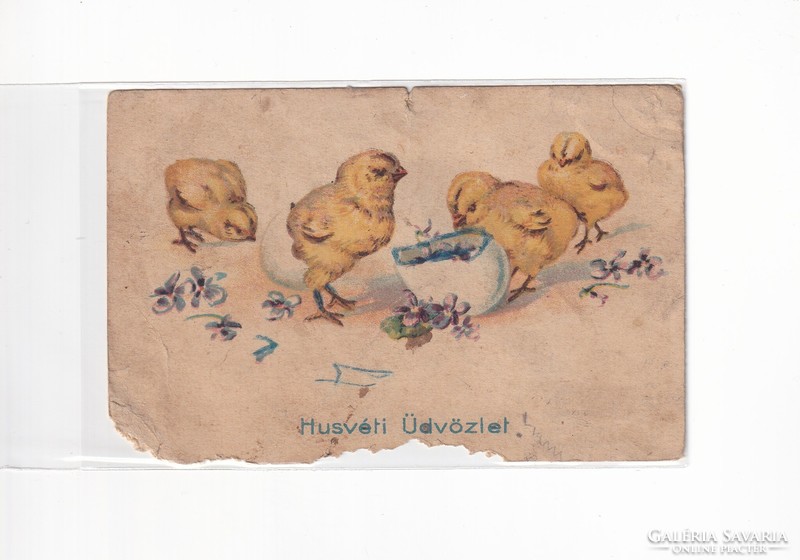 H:110 Antik Húsvéti Üdvözlő képeslap "Egérrágta"
