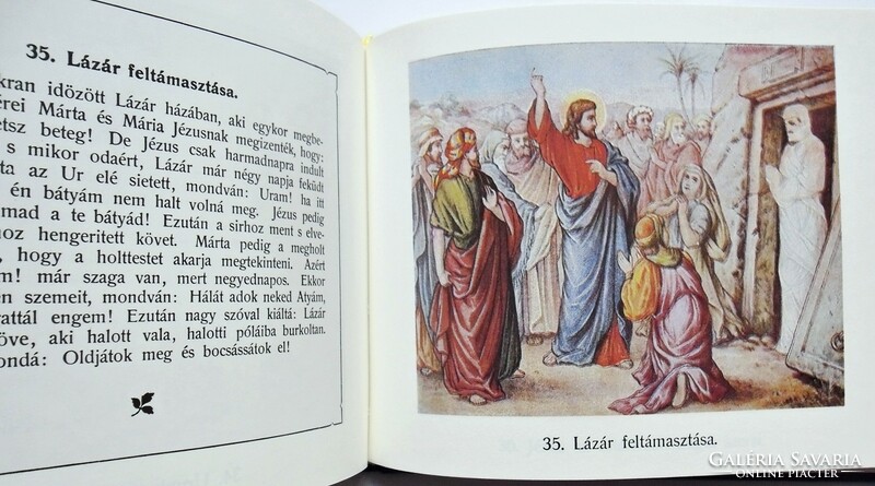 Hock János: Képes Biblia. (Reprint, 1900). Az Ó- és Új-Szövetség történelme 50 színes képpel
