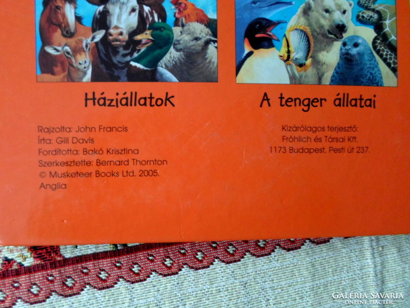African Animals - A 3D Book for Children (2005)
