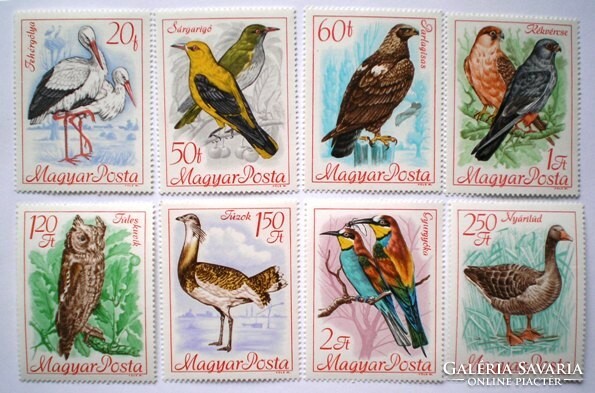 S2443-50 / 1968 nature conservation iii. - Birds stamp line postage stamp