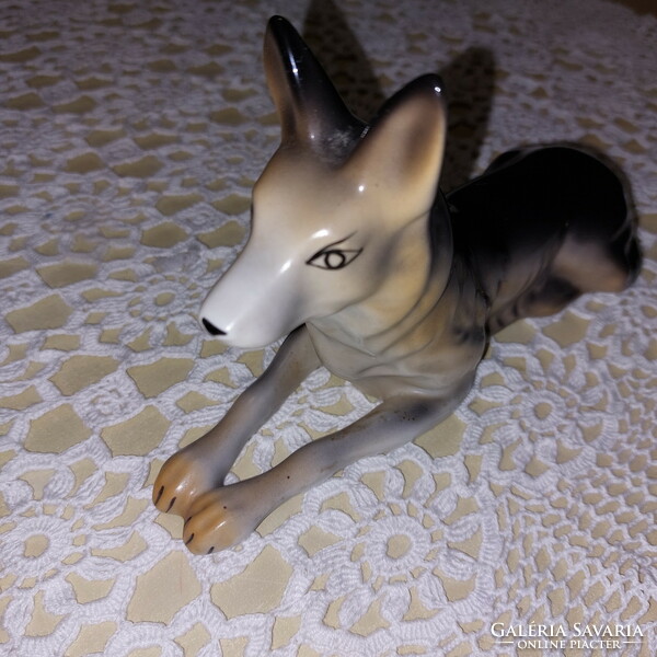 Wolf dog porcelain