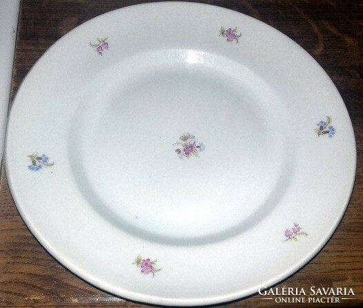 Peaceful small flower thick porcelain flat plate - art&decoration