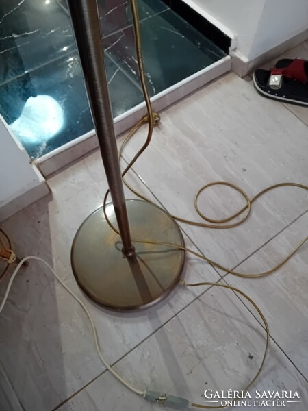 Floor lamp with two lamps