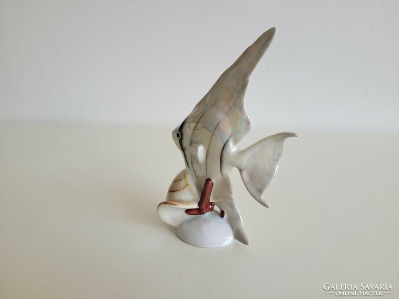Régi Hollóházi porcelán retro gyöngyházfényű vitorlás hal kagylóval