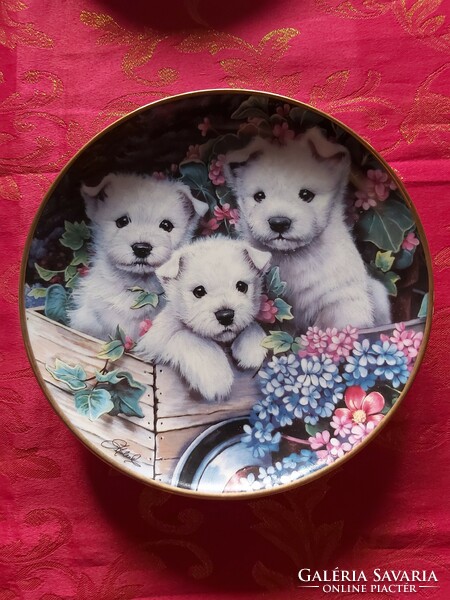 English wall porcelain decorative plate with cute Westie puppies - in display case