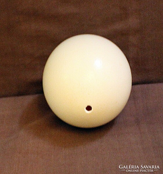 Drilled ostrich egg