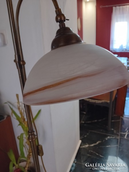 Floor lamp with two lamps