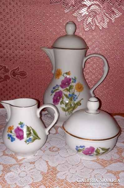 Freiberger porcelain coffee set