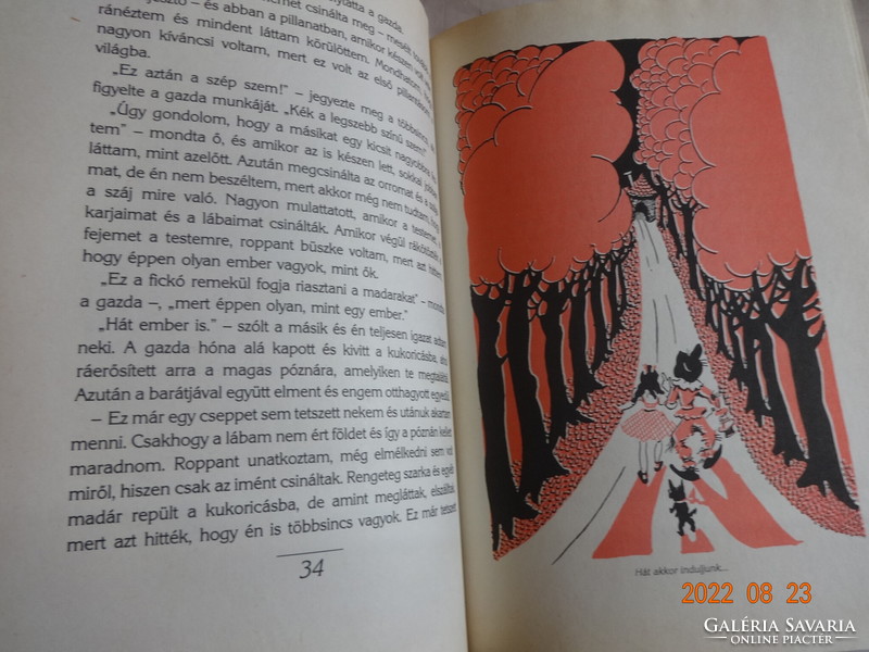 L. Frank Baum: Óz, a csodák csodája - mesekönyv Róna Emy illusztrációival