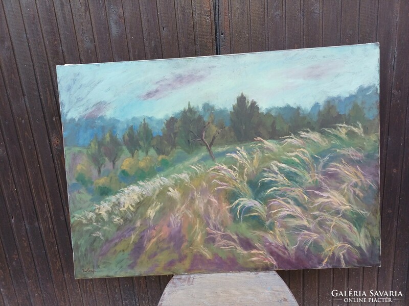 Gyönyörű Mártonfi Benke Márta olaj vászon  festménye!