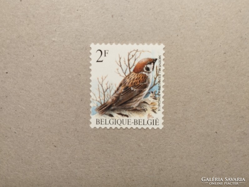 Belgium fauna, birds 1989