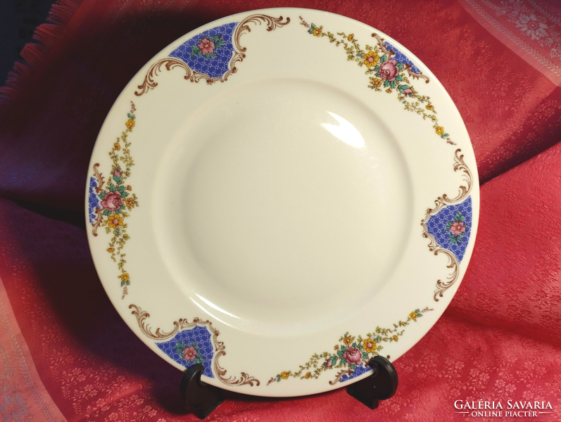 Beautiful thun large flat plate, bowl