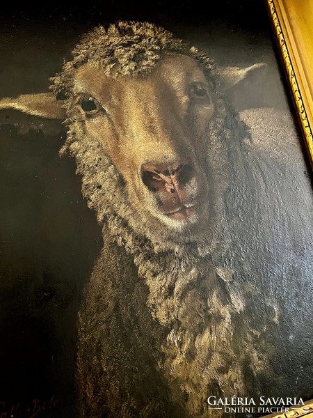 Béla Pállik (1845-1908) sheep portrait