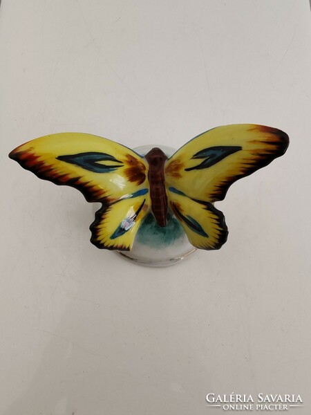 Drasche butterfly