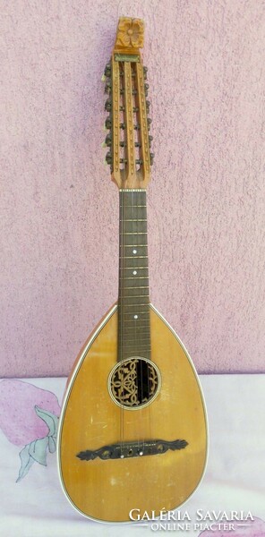 Antique mandriola or tricordia, 12-string mandolin. Meinel & herald 1910-1920 years