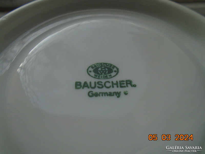 Dense cobalt flower pattern thick-walled tea cup with coaster from the German company Bauscher Weiden