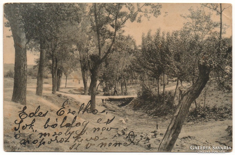 C - 280 printed postcards, maiden village, 1905