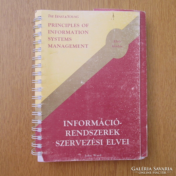 The ernst & young - principles of organization of information systems (Hungarian / English) first edition