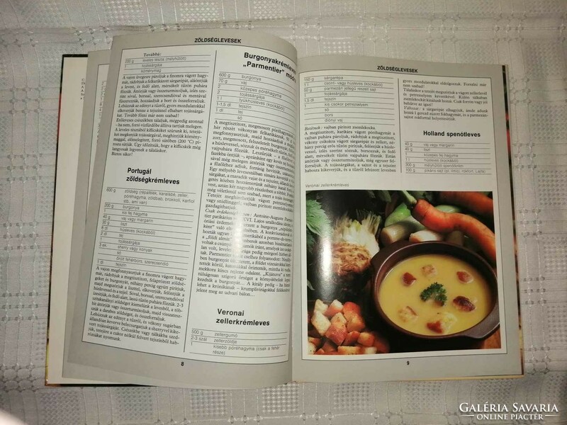 99 Soup with 33 color food photos c. Cookbook