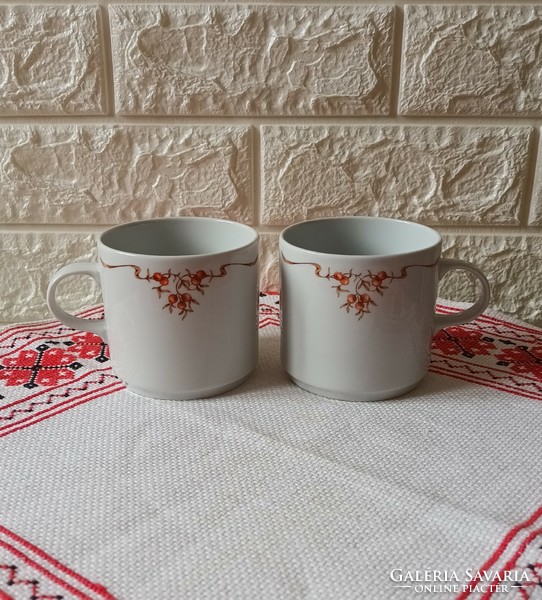 Mugs with rosehip pattern
