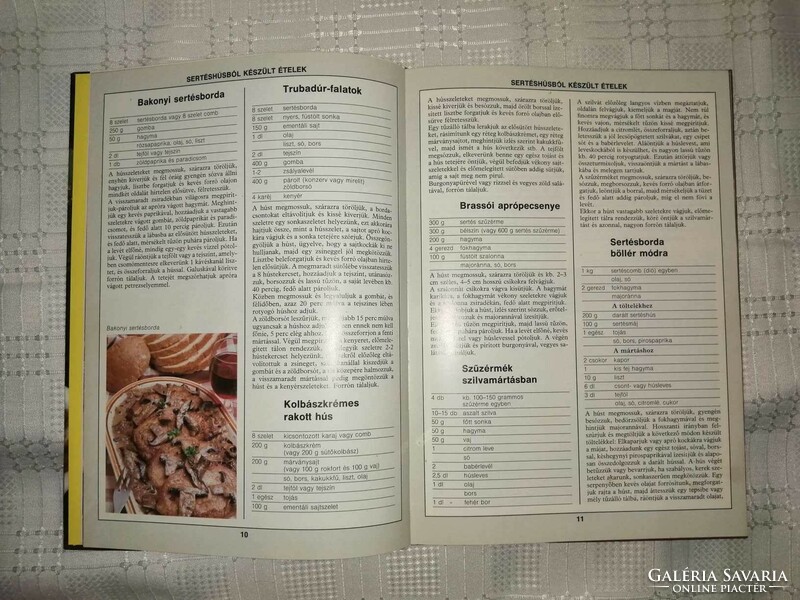 99 húsétel 33 színes ételfotóval c. szakácskönyv