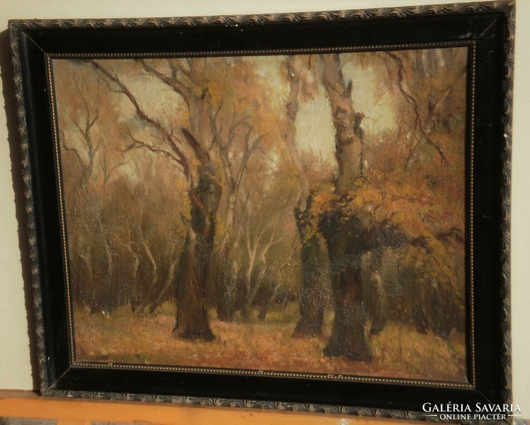 Ismeretlen festő (20.sz.első fele) : Őszi erdő