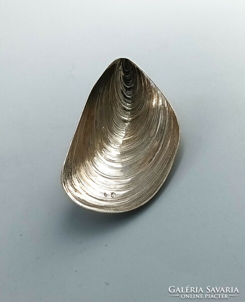 Silver shell