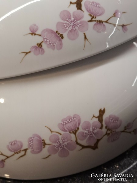 Retro lowland peach blossom porcelain tableware to replace a soup bowl and side dish plate