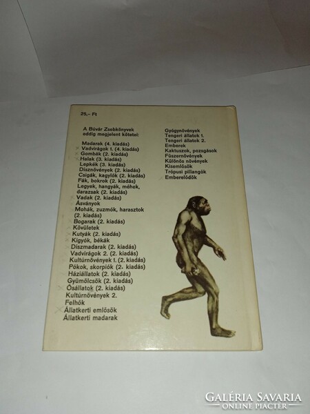 Kordos-Clozsvár - human predecessors (diver pocket books) móra ferenc book publishing house, 1982