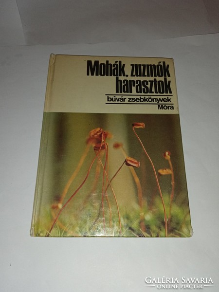Tibor Simon dr. - Mosses, lichens, lichens (diver's pocket book)