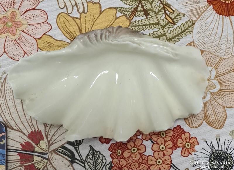 Kagyló kagylós porcelán tálka